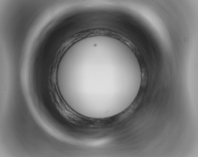 X0000114440765200910161052