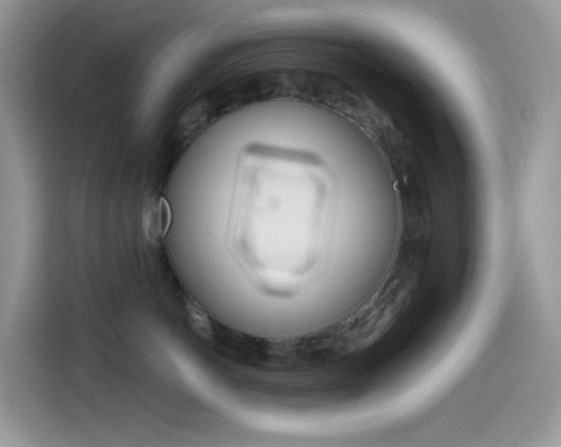 X0000114440766200910161052