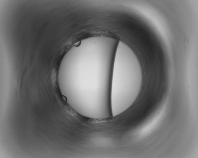 X0000114440767200910161052