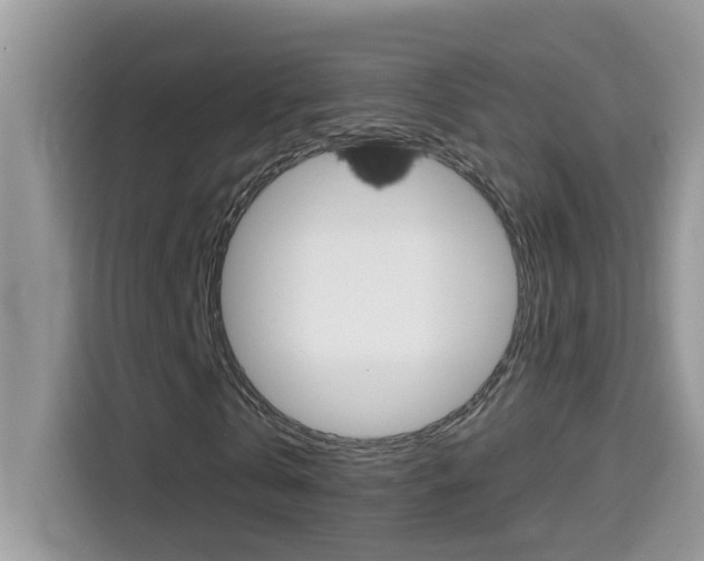 X0000114440769200910161051