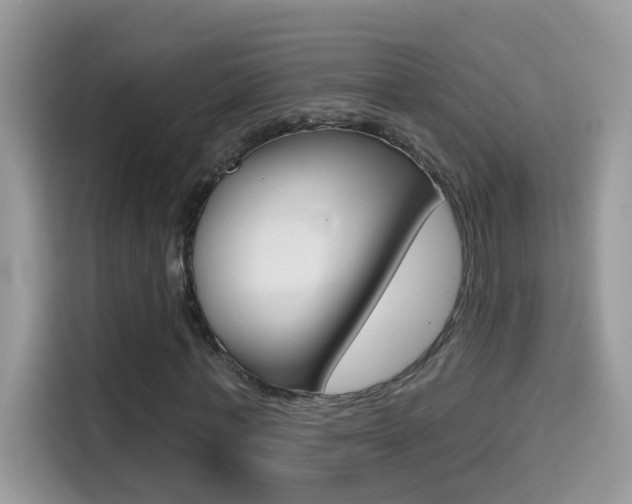 X0000114440771200910161051