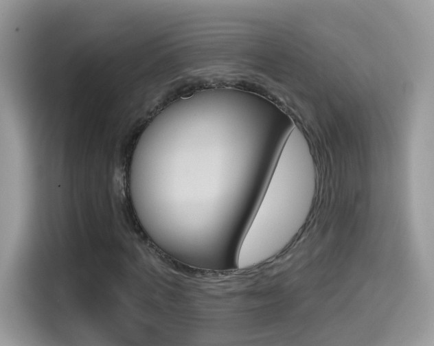 X0000114440772200910161051