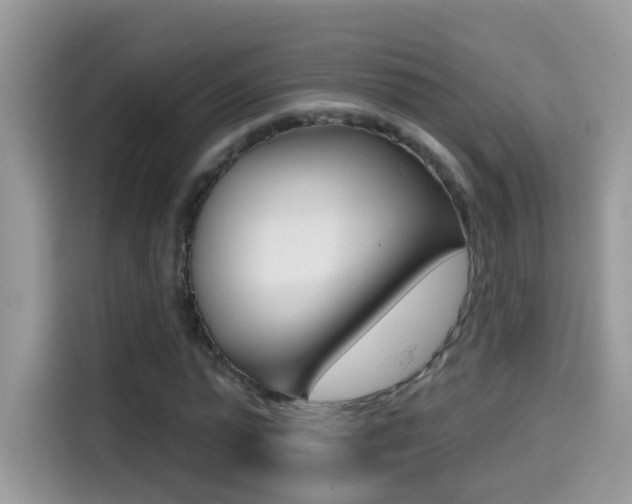 X0000114440775200910161051