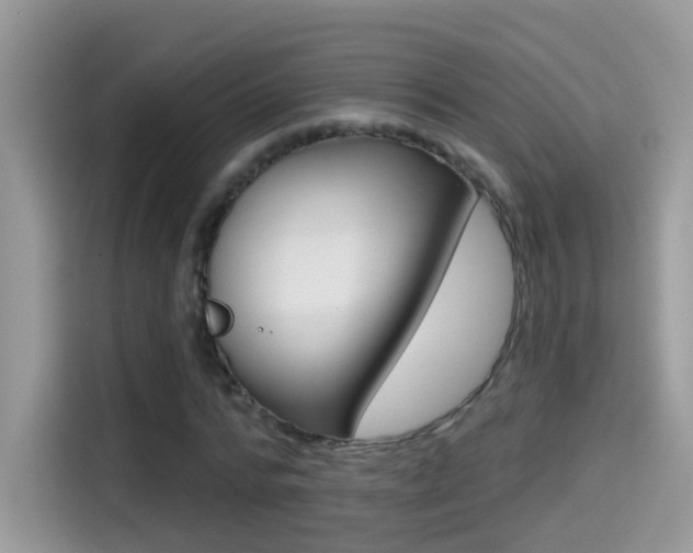 X0000114440776200910161051