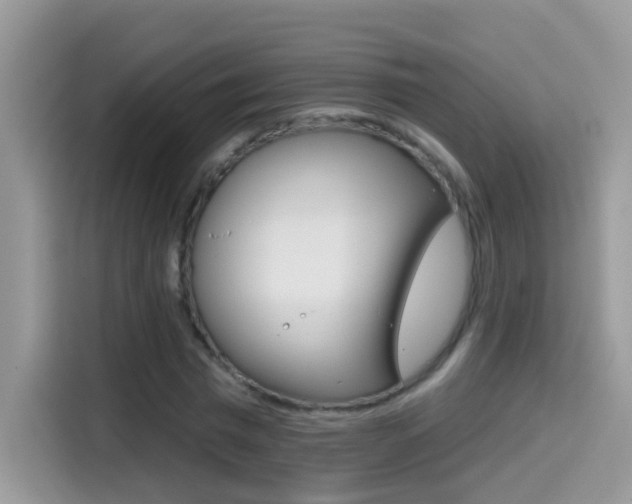 X0000114440777200910161051