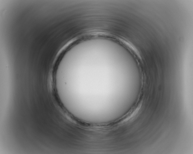 X0000114440782200910161051