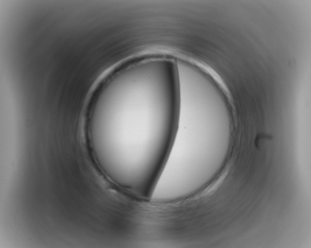 X0000114440783200910161051