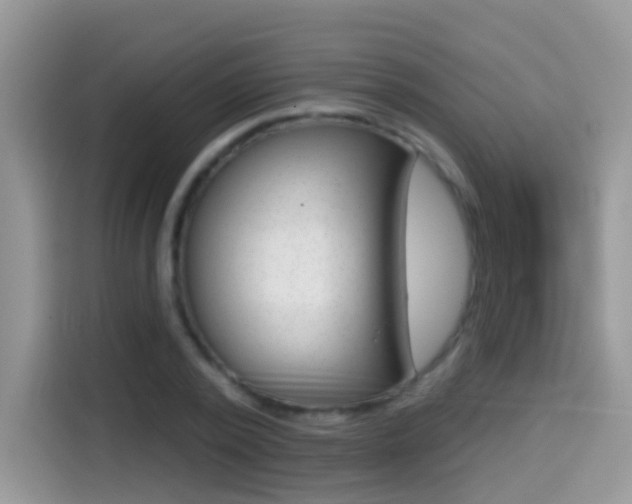 X0000114440784200910161051