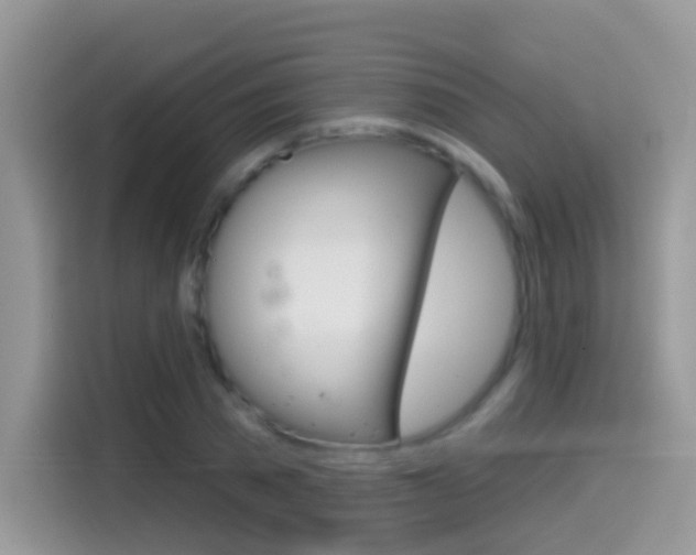 X0000114440785200910161051