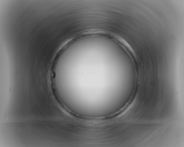 X0000114440786200910161051