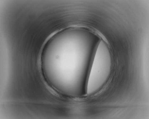 X0000114440787200910161051