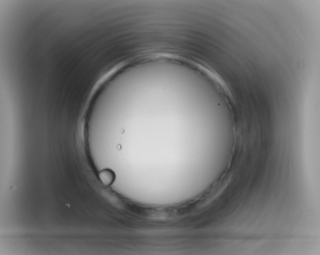 X0000114440790200910161051