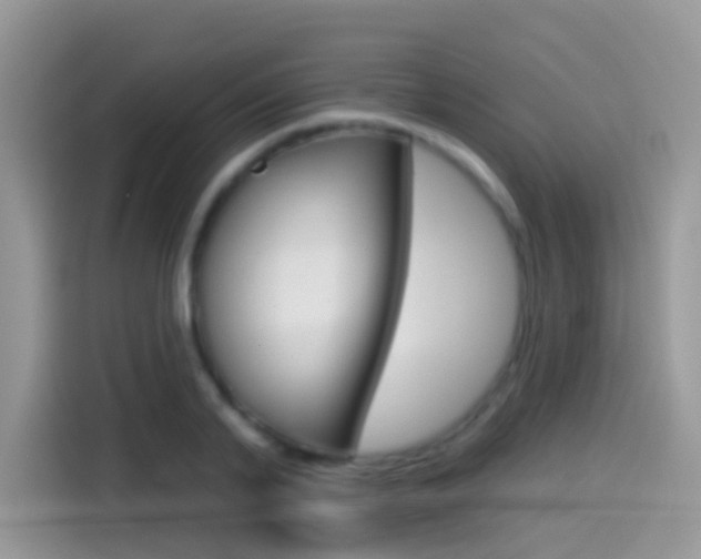 X0000114440791200910161051