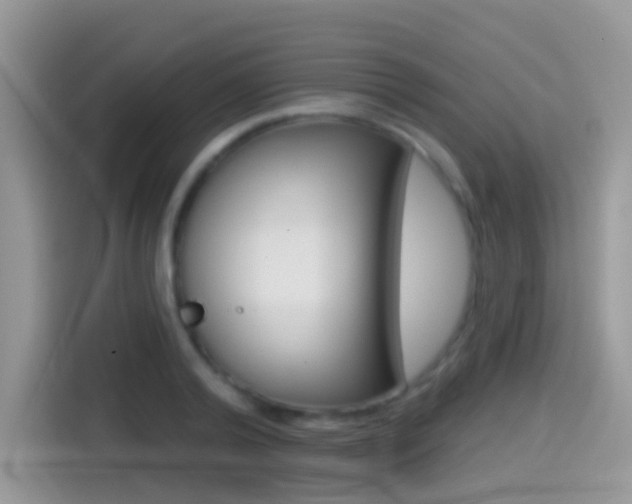 X0000114440792200910161051
