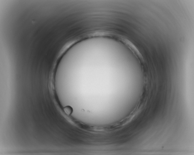 X0000114440794200910161051