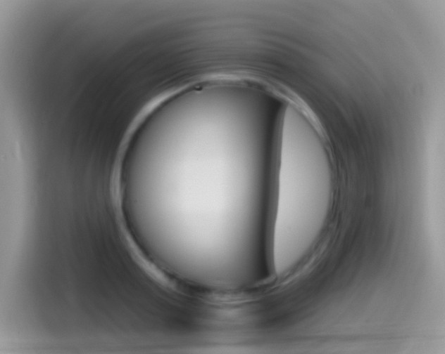 X0000114440795200910161051