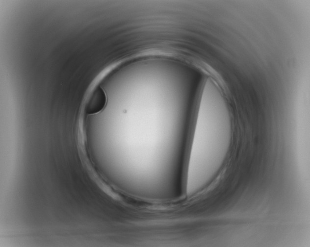 X0000114440796200910161051