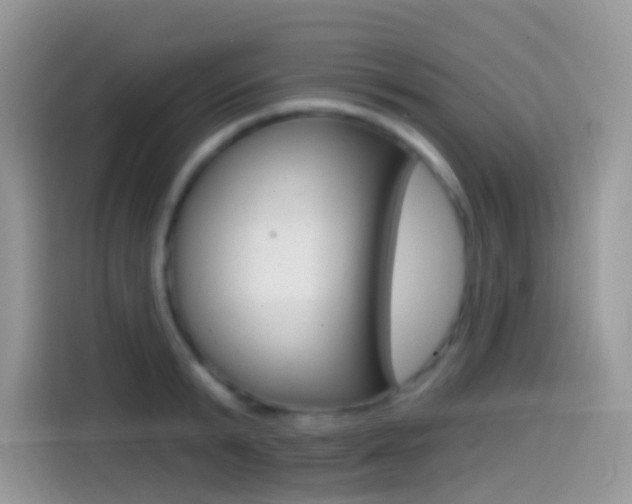 X0000114440799200910161051