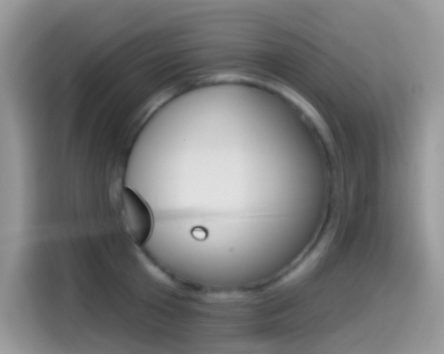 X0000114440801200910161051