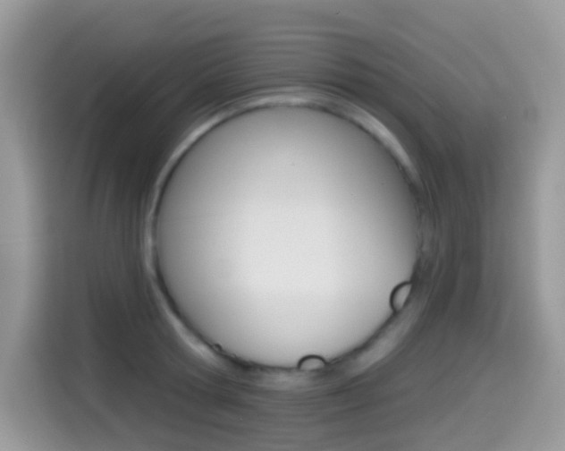 X0000114440802200910161051