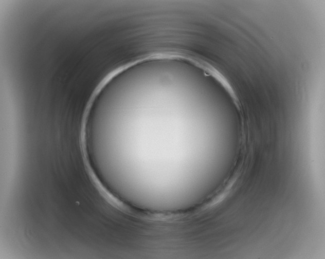 X0000114440803200910161051