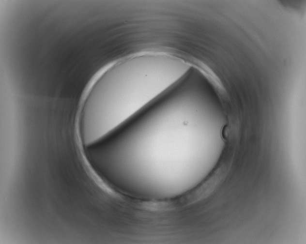 X0000114440804200910161051