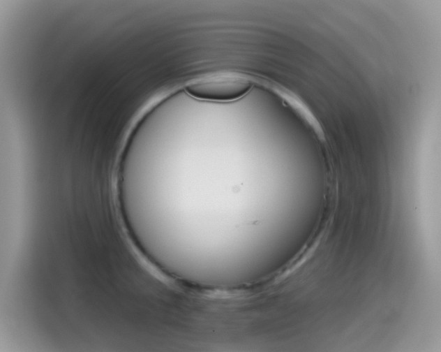 X0000114440805200910161051