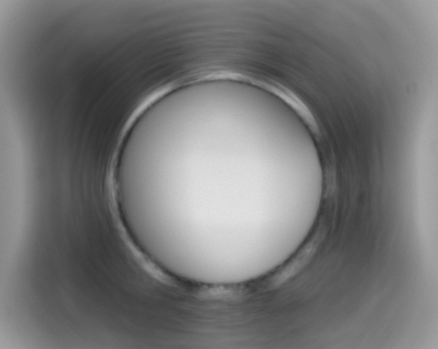 X0000114440806200910161051