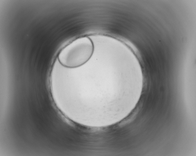 X0000114440807200910161051