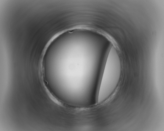 X0000114440808200910161051
