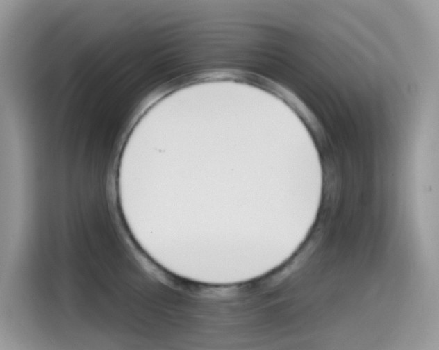 X0000114440810200910161051