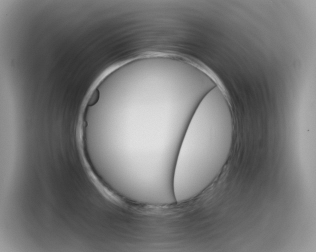 X0000114440811200910161051