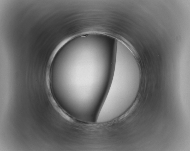 X0000114440812200910161051