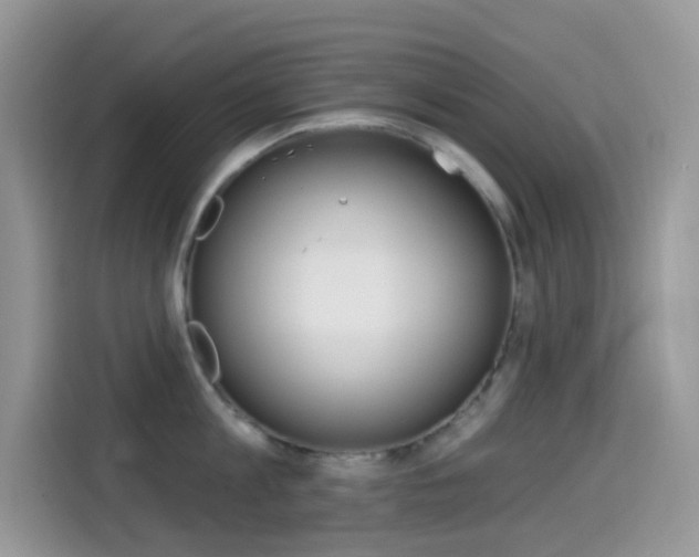 X0000114440813200910161051