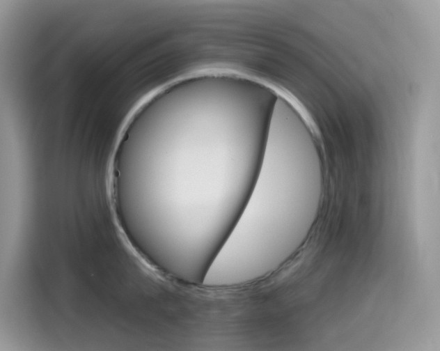 X0000114440815200910161051
