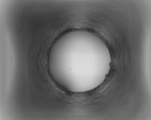 X0000114440817200910161050