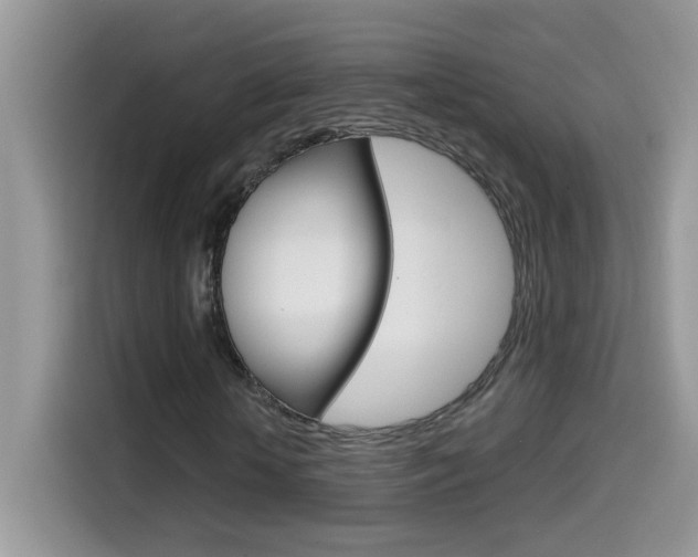 X0000114440818200910161050