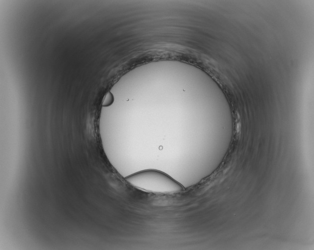 X0000114440819200910161050
