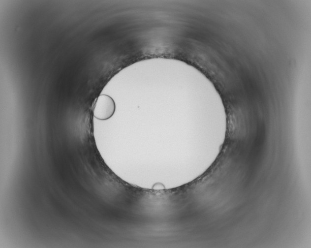 X0000114440820200910161050