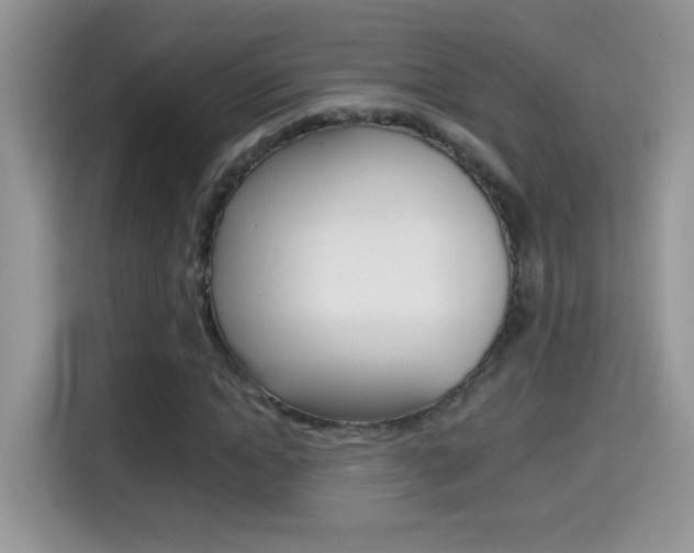 X0000114440822200910161050