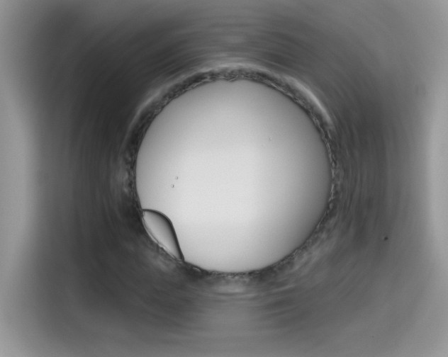 X0000114440823200910161050