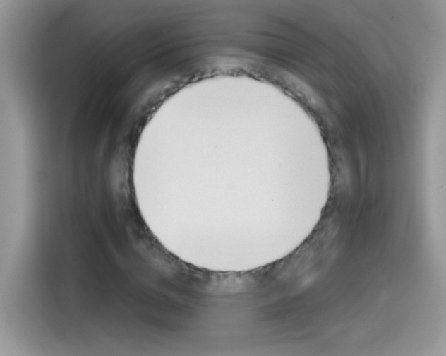 X0000114440824200910161050