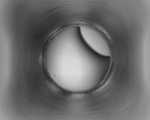 X0000114440825200910161050