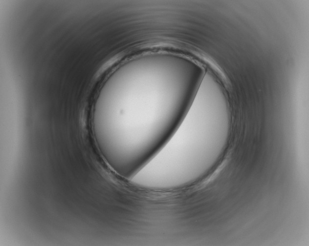 X0000114440826200910161050