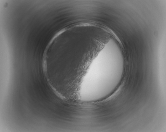 X0000114440827200910161050