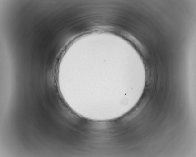 X0000114440828200910161050