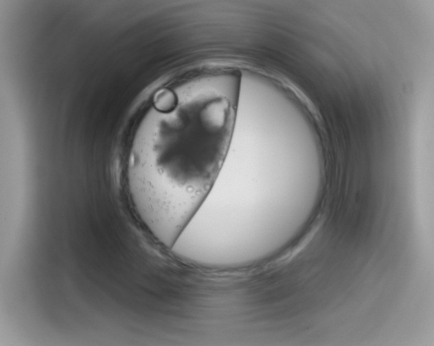 X0000114440829200910161050