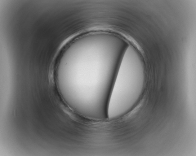 X0000114440830200910161050