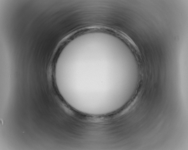 X0000114440831200910161050