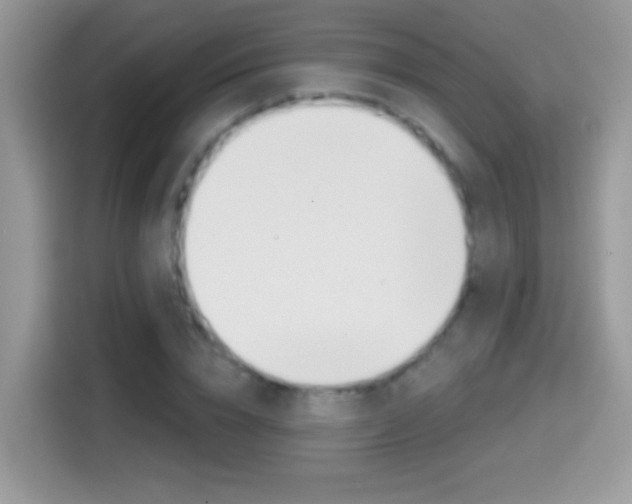 X0000114440832200910161050